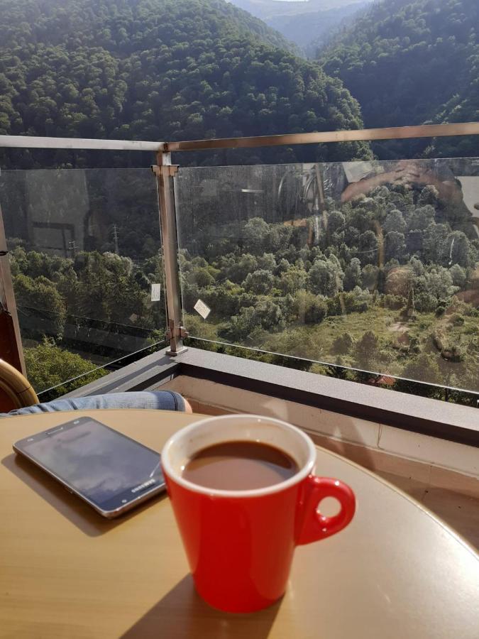 Apartment Forest Colina Marei Sinaia